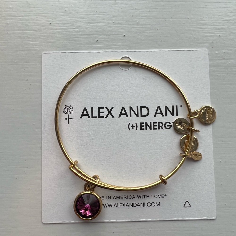 Alex and Ani Gem Bracelet